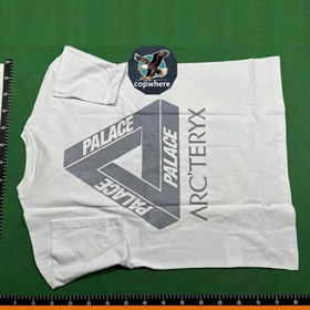 Arcteryx PALACE joint series printed retro short-sleeved T-shirt -2753